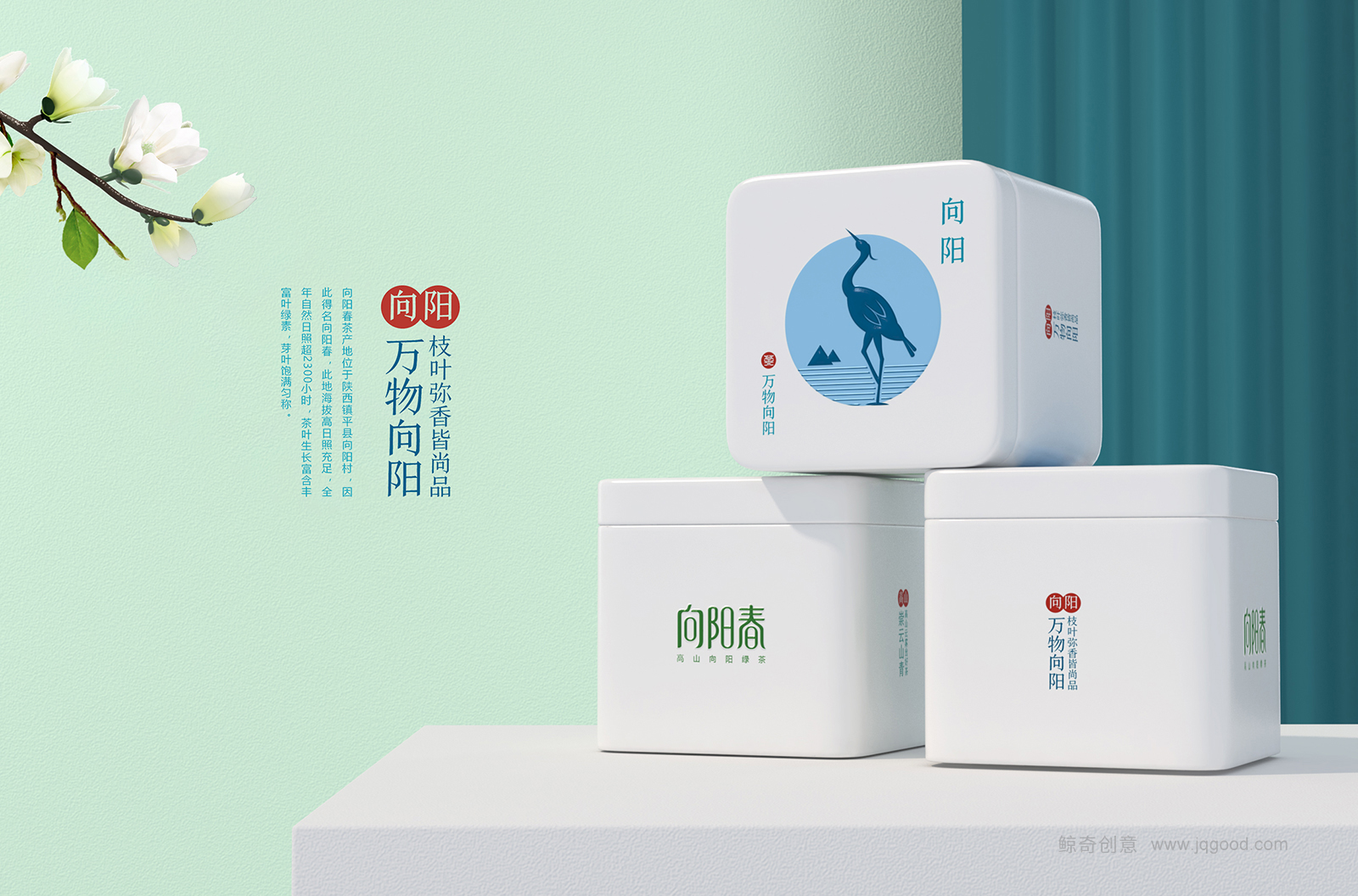深圳茶叶品牌策划